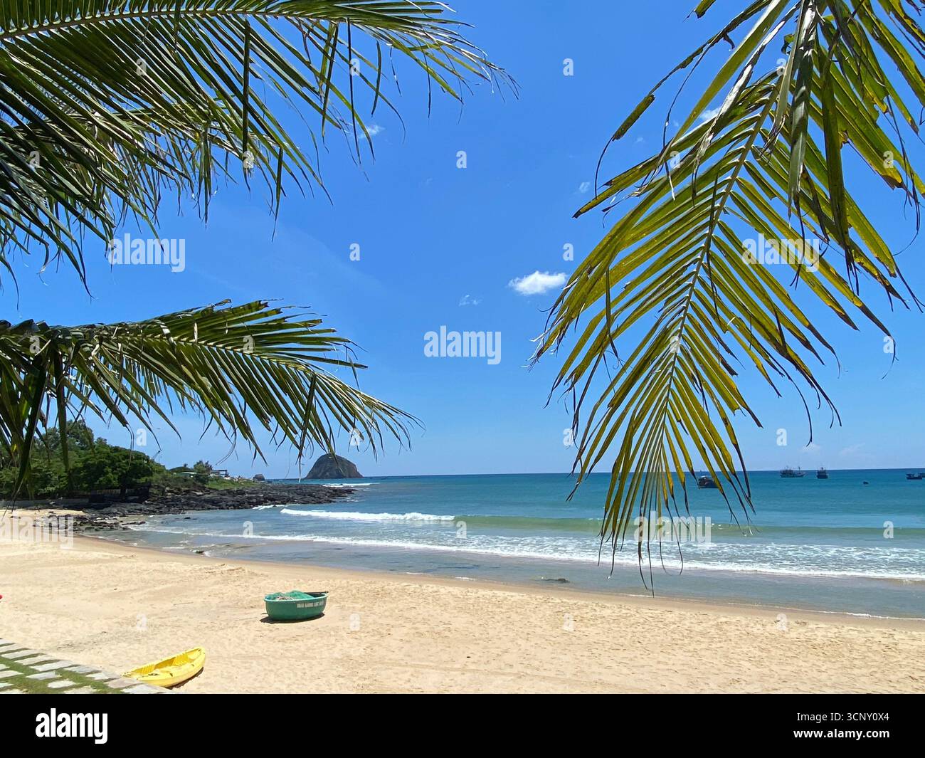 Sunny beach with palm leaves framing blue sky and gentle waves, perfect tropical seaside getaway - Smartphone Captured Stock Image