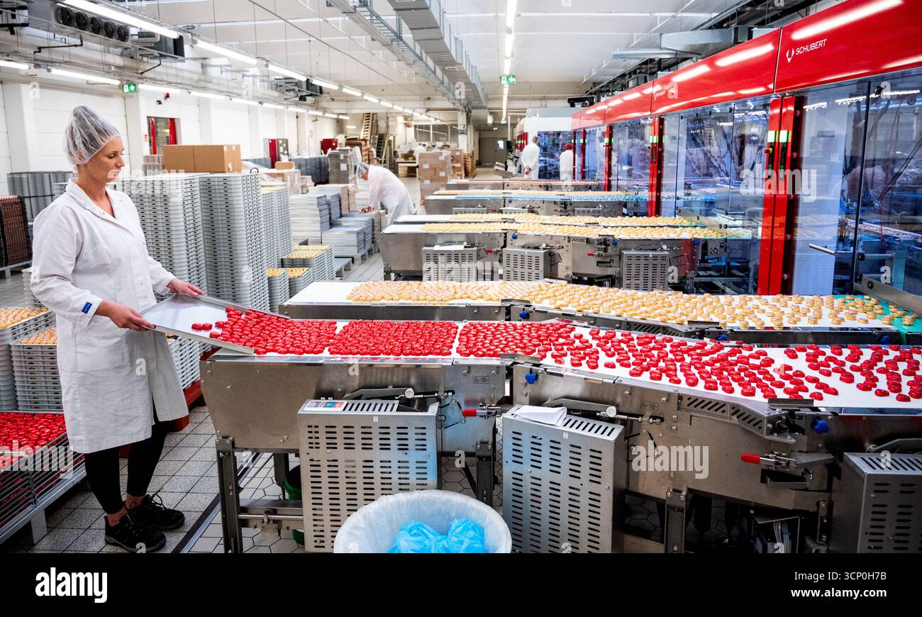 Verwunderlich Marzipan Werksverkauf Lbeck Ebenbild