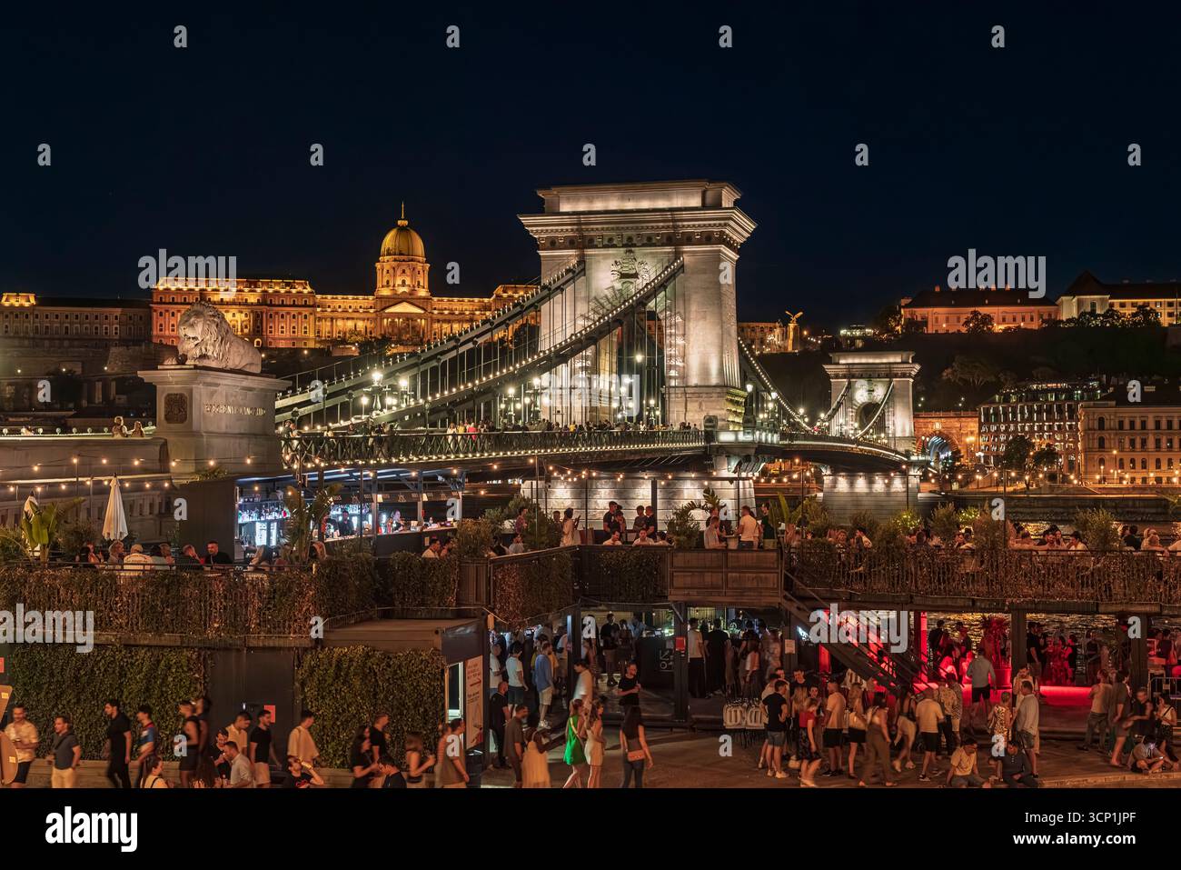 Night life in Budpest city, Hungary. Buda royal castle is on the ...