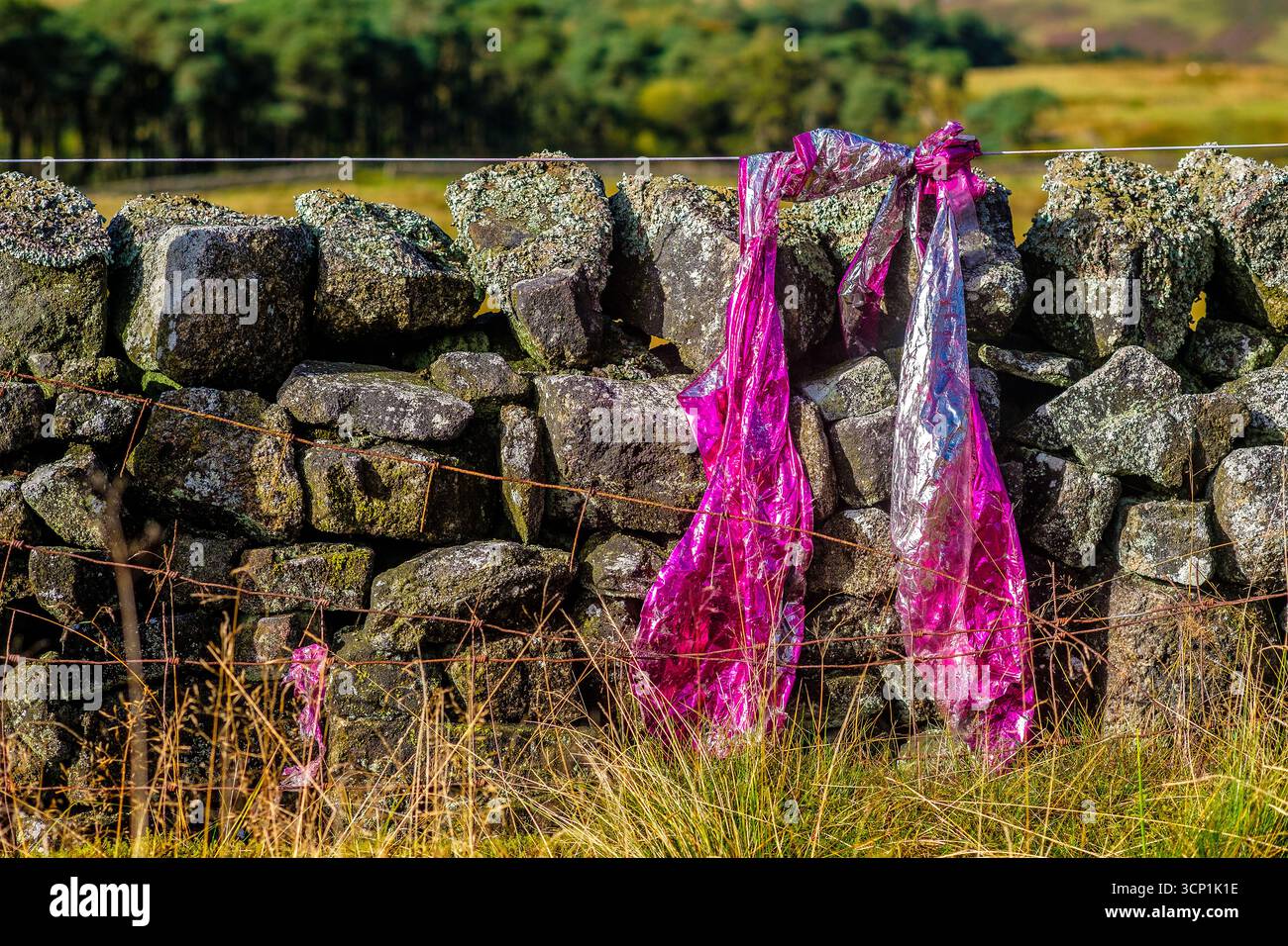 Party balloon caught on a fence in the Peak District Stock Photo