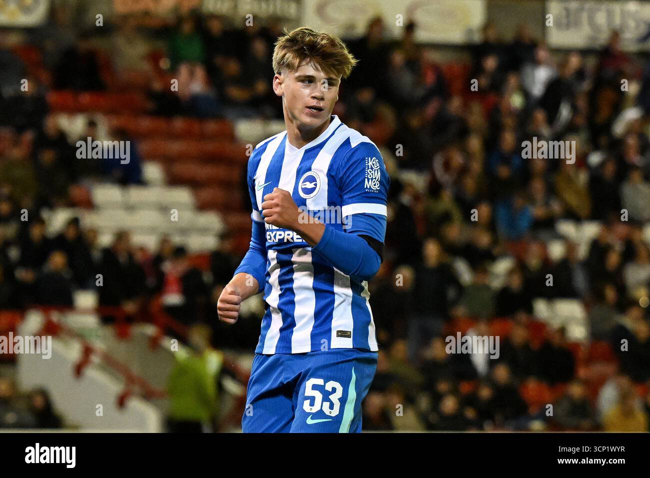 Brighton and Hove Albion's Harry Howell celebrates scoring their side's ...