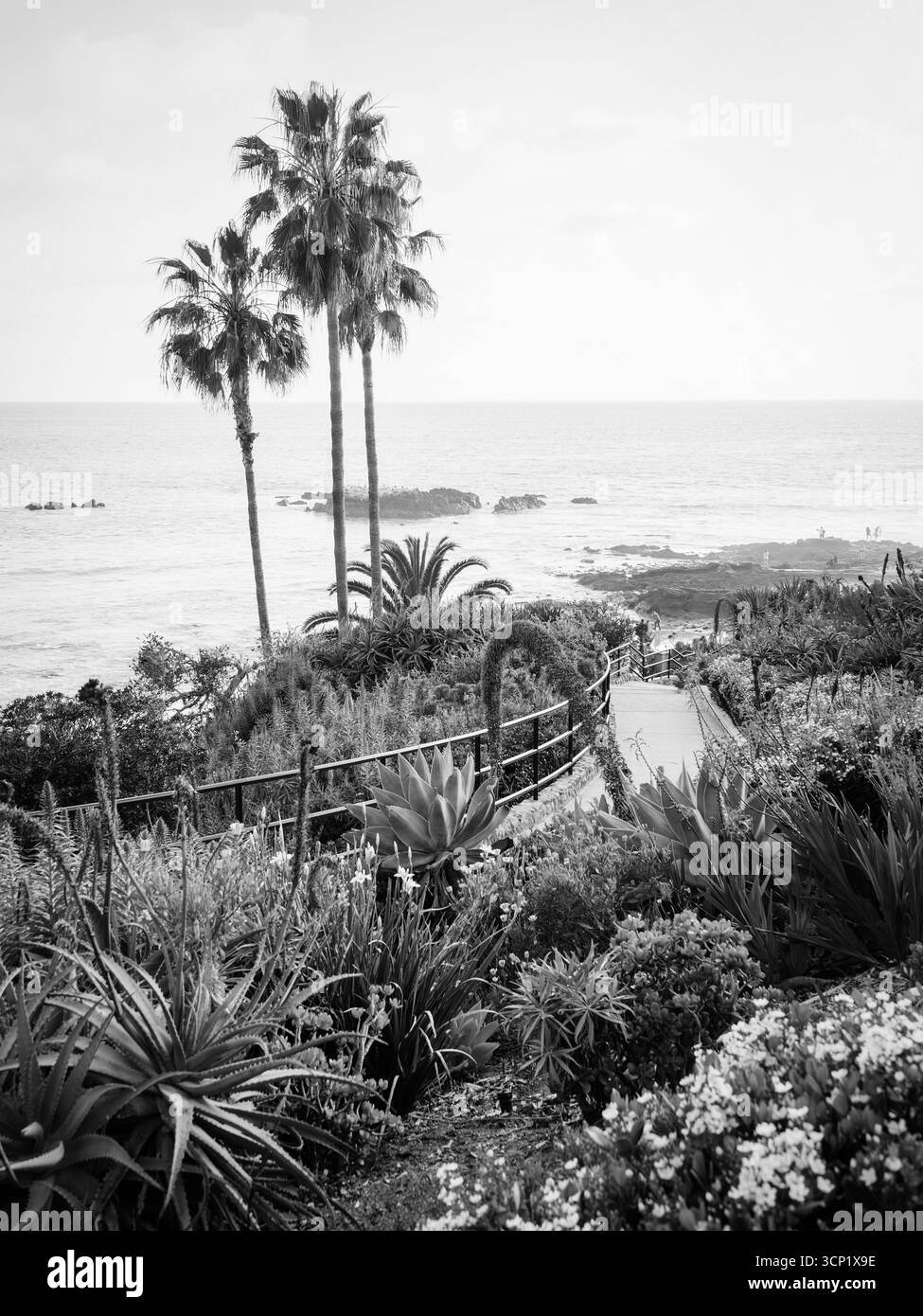 Laguna beach tourism Black and White Stock Photos & Images - Alamy
