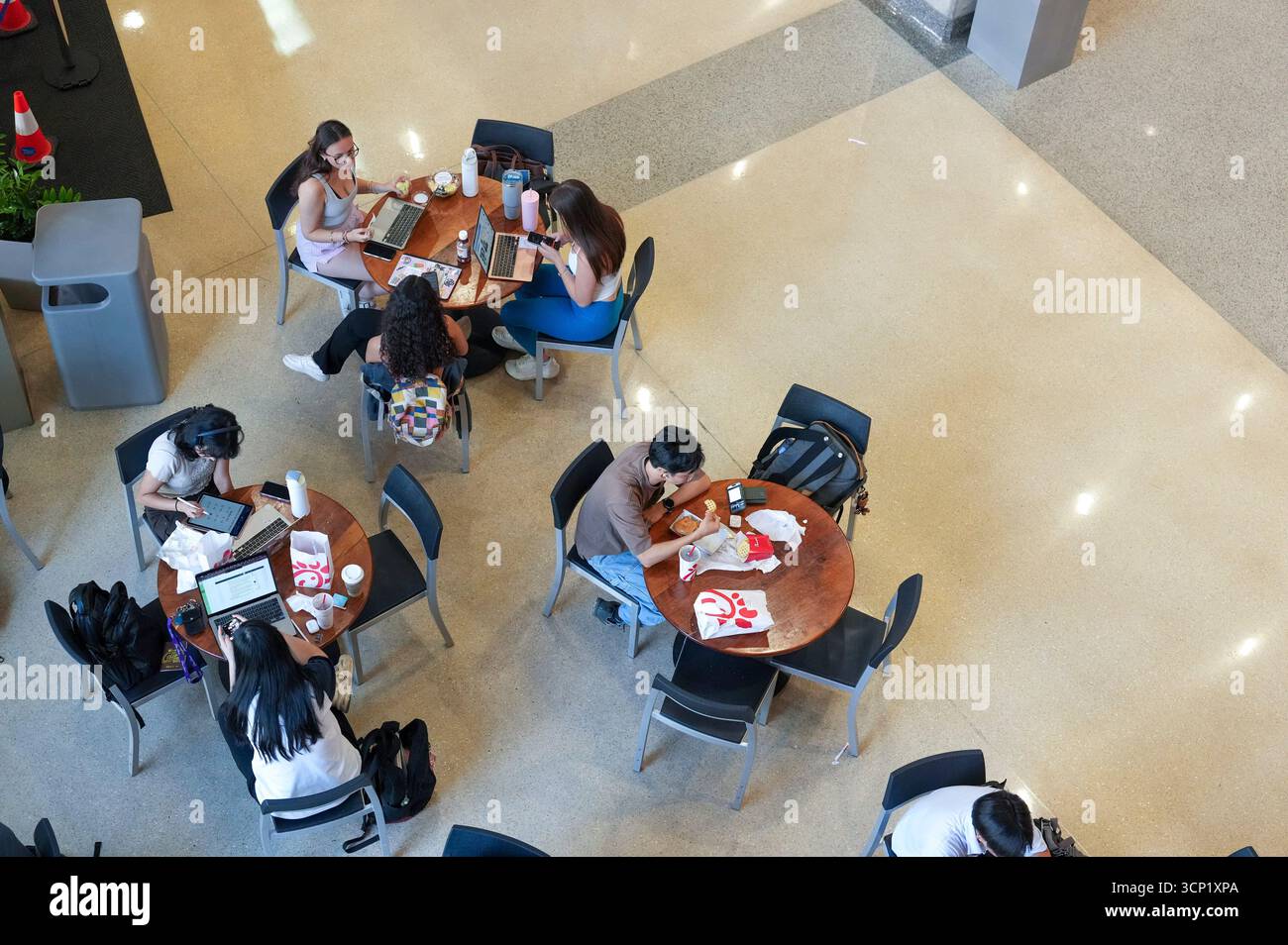 Students studying over the lunch hour at the William C. Powers Student Activity Center at the University of Texas at Austin on September 11, 2025. UT-Austin has enrolled over 50,000 students for the fall, 2025 semester. ©Bob Daemmrich Stock Photo
