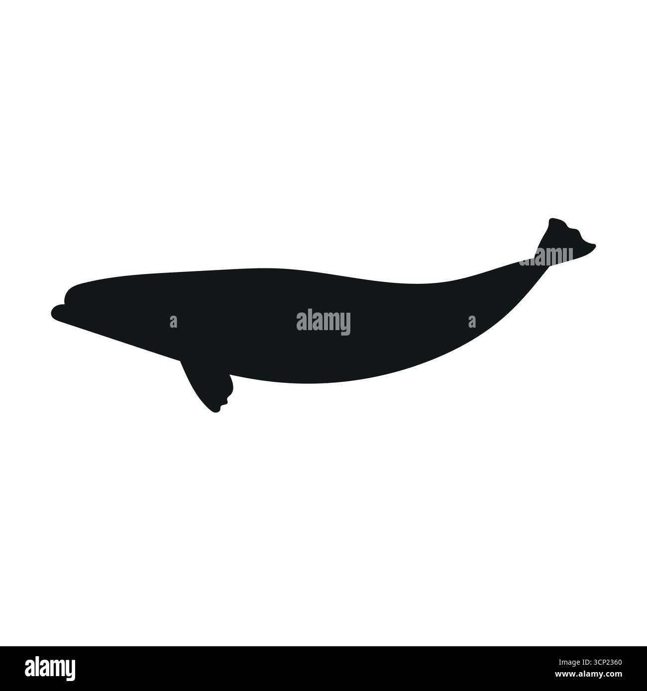 Vector flat hand drawn beluga whale silhouette isolated on white background Stock Vector