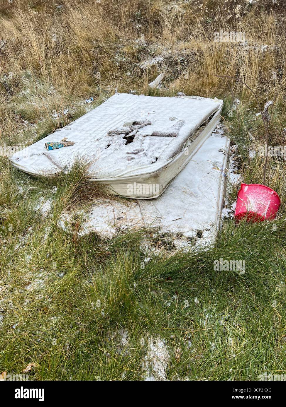 Old mattress thrown out - Smartphone Captured Stock Image