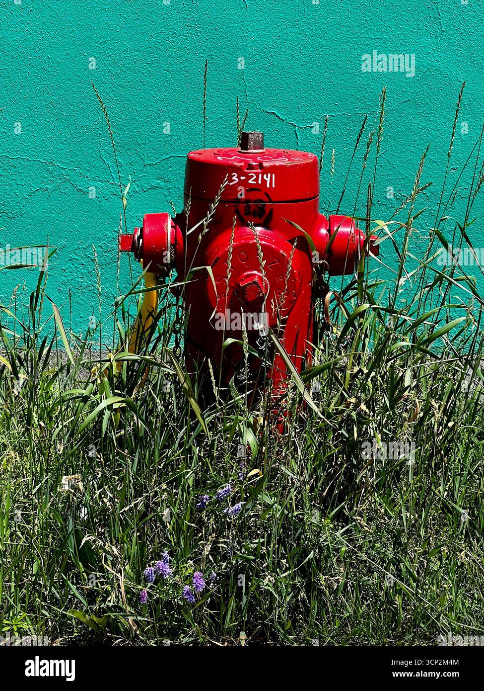 Red fire hydrant - Smartphone Captured Stock Image