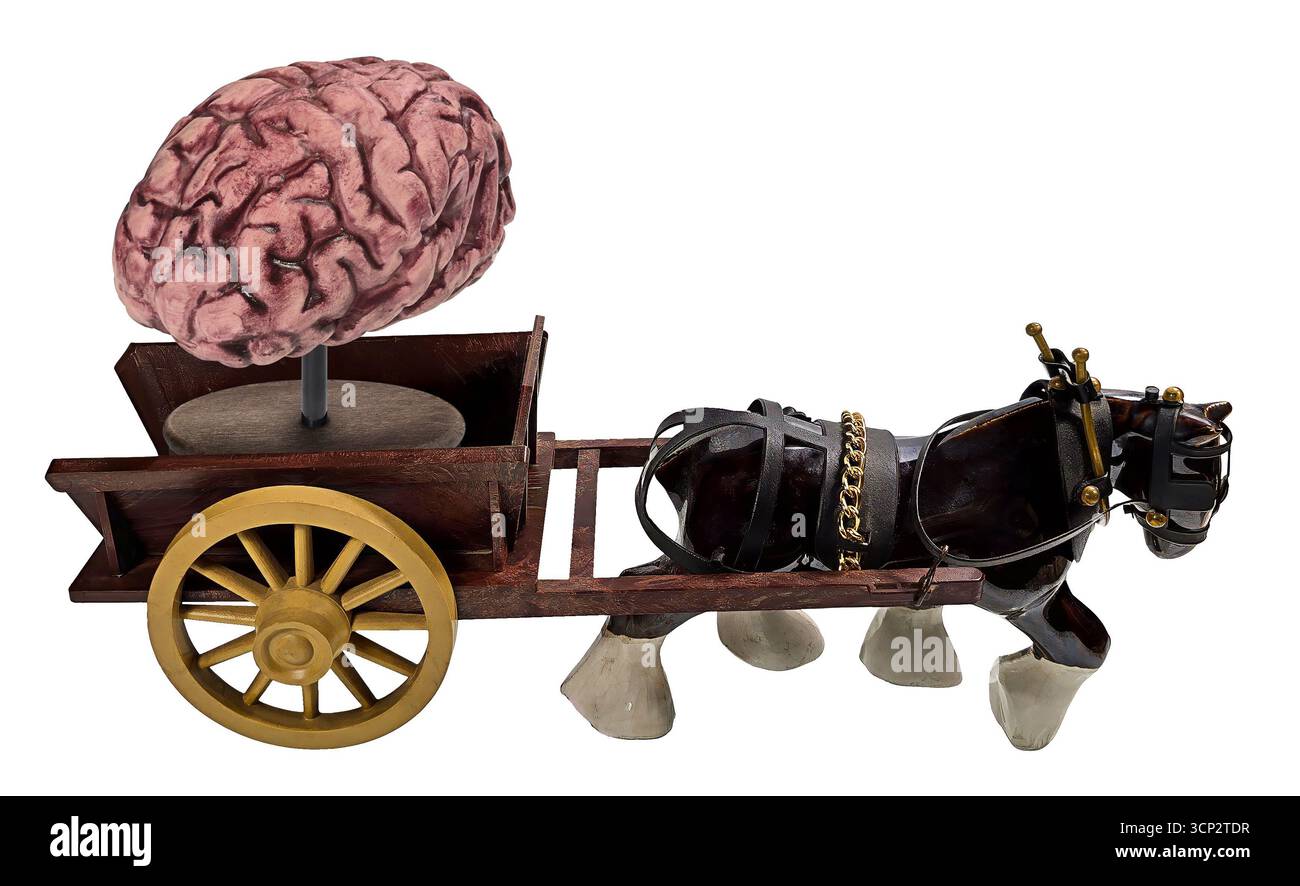 When your brain is moving slow shown by a horse dragging a wooden cart ...