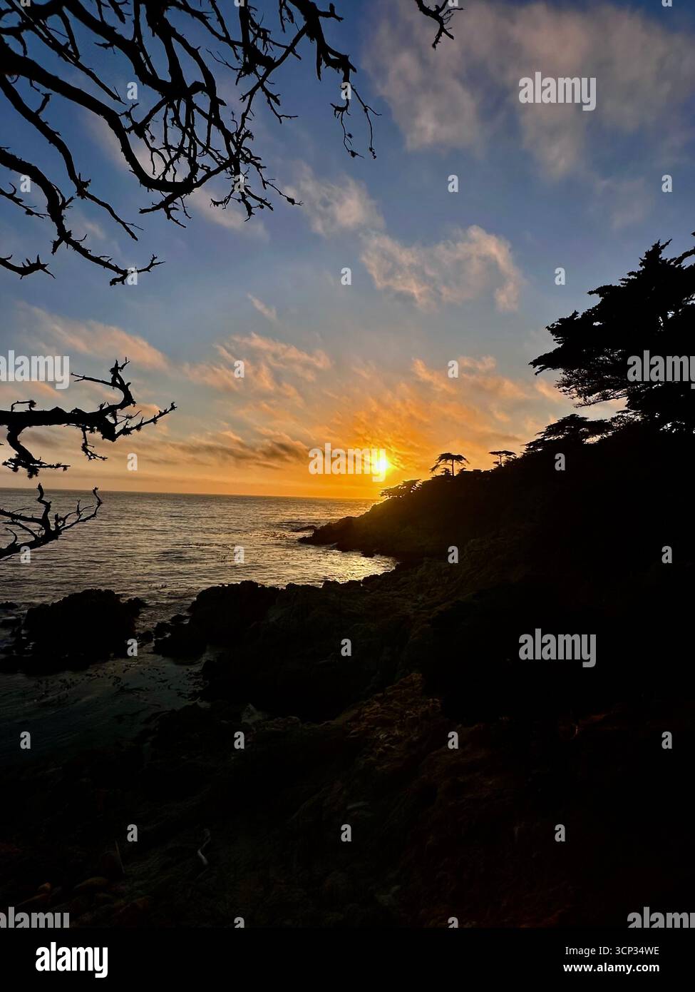 Golden sunset over rugged Pacific coastline - Smartphone Captured Stock Image
