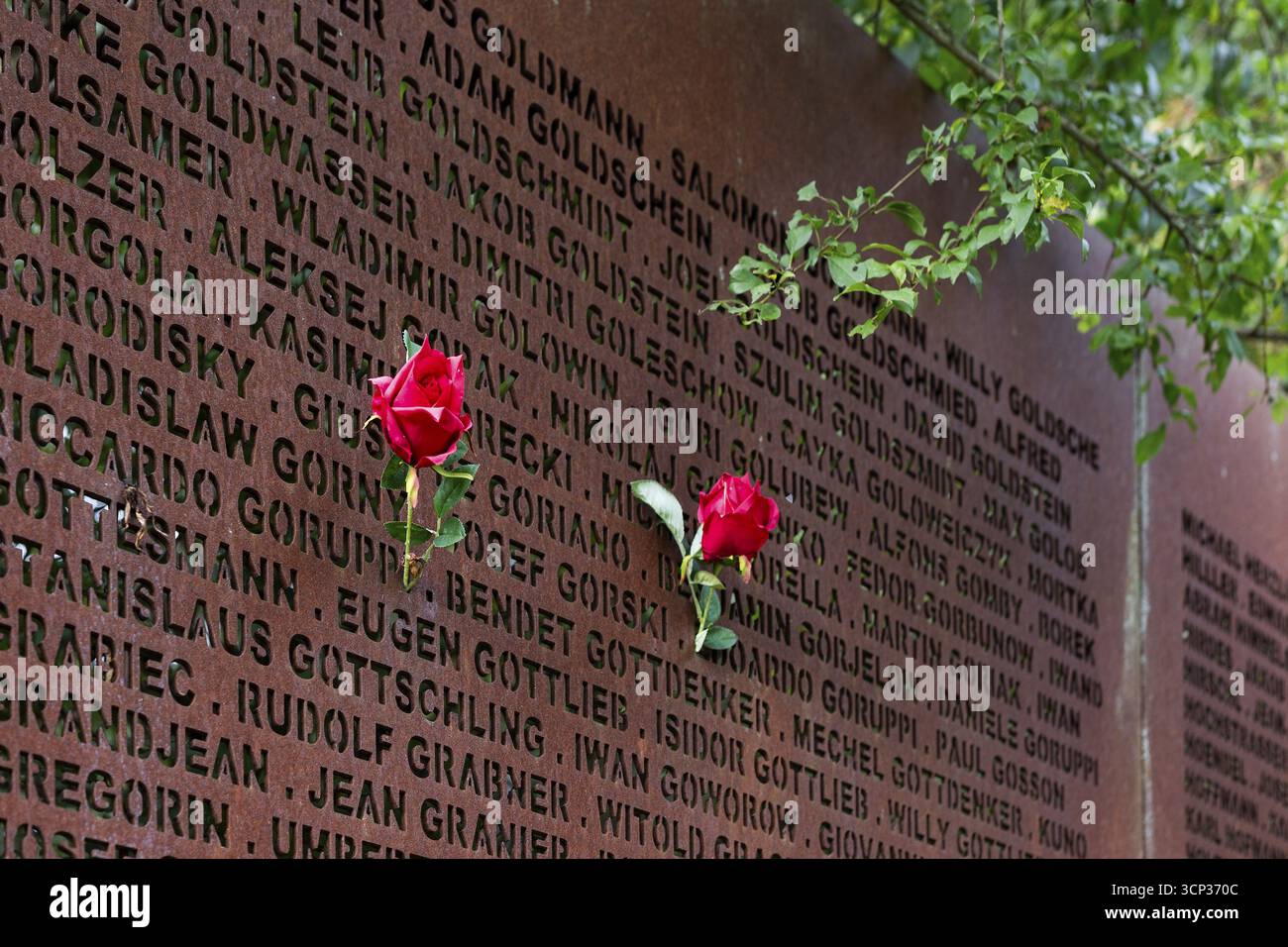 Pinned roses, name wall made of steel plates with a total of 2908 laser ...