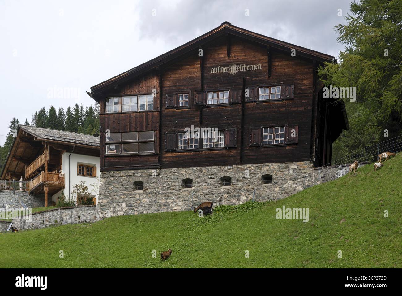 Residential buildings on a slope, Arosa, Grisons, Switzerland Stock Photo