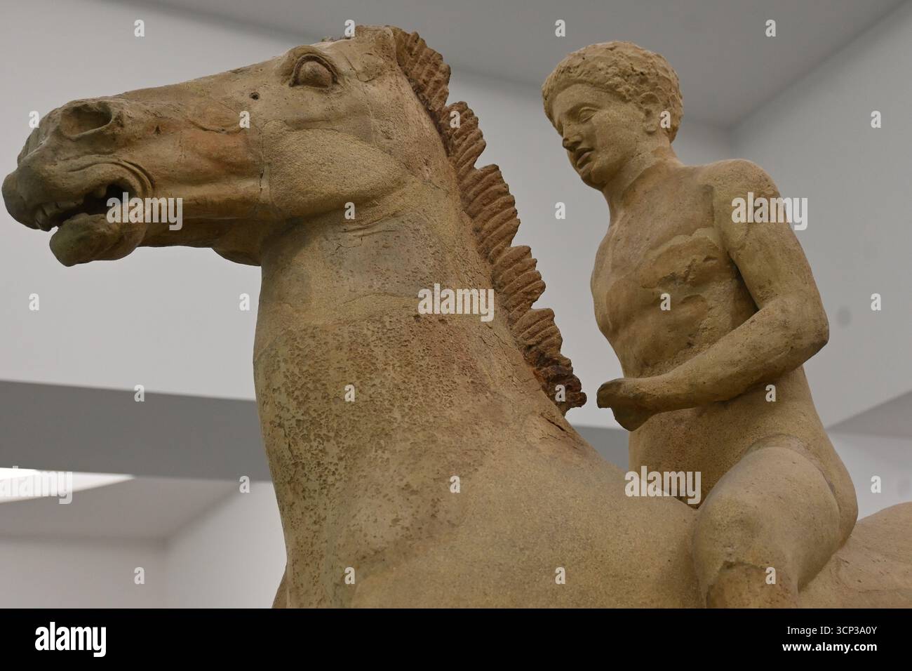 Europe southern Italy National Archaeological Museum of Reg…