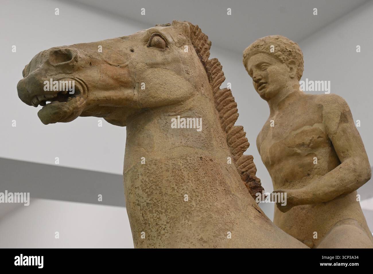 Europe southern Italy National Archaeological Museum of Reg…