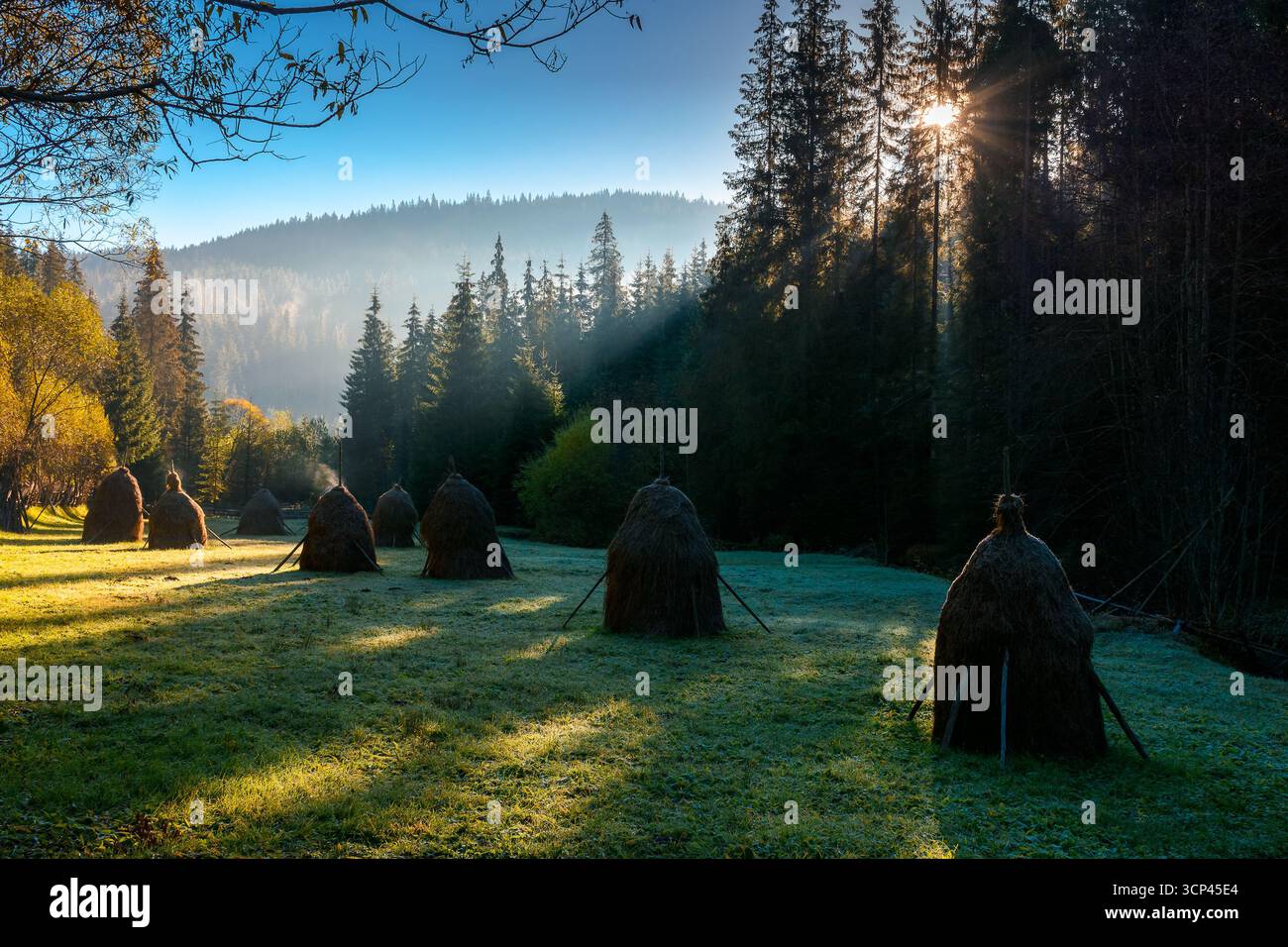 mountainous rural landscape of romania in autumn. scenic view. foggy sunrise. transylvania countryside scenery in fall season. haystacks on field in s Stock Photo