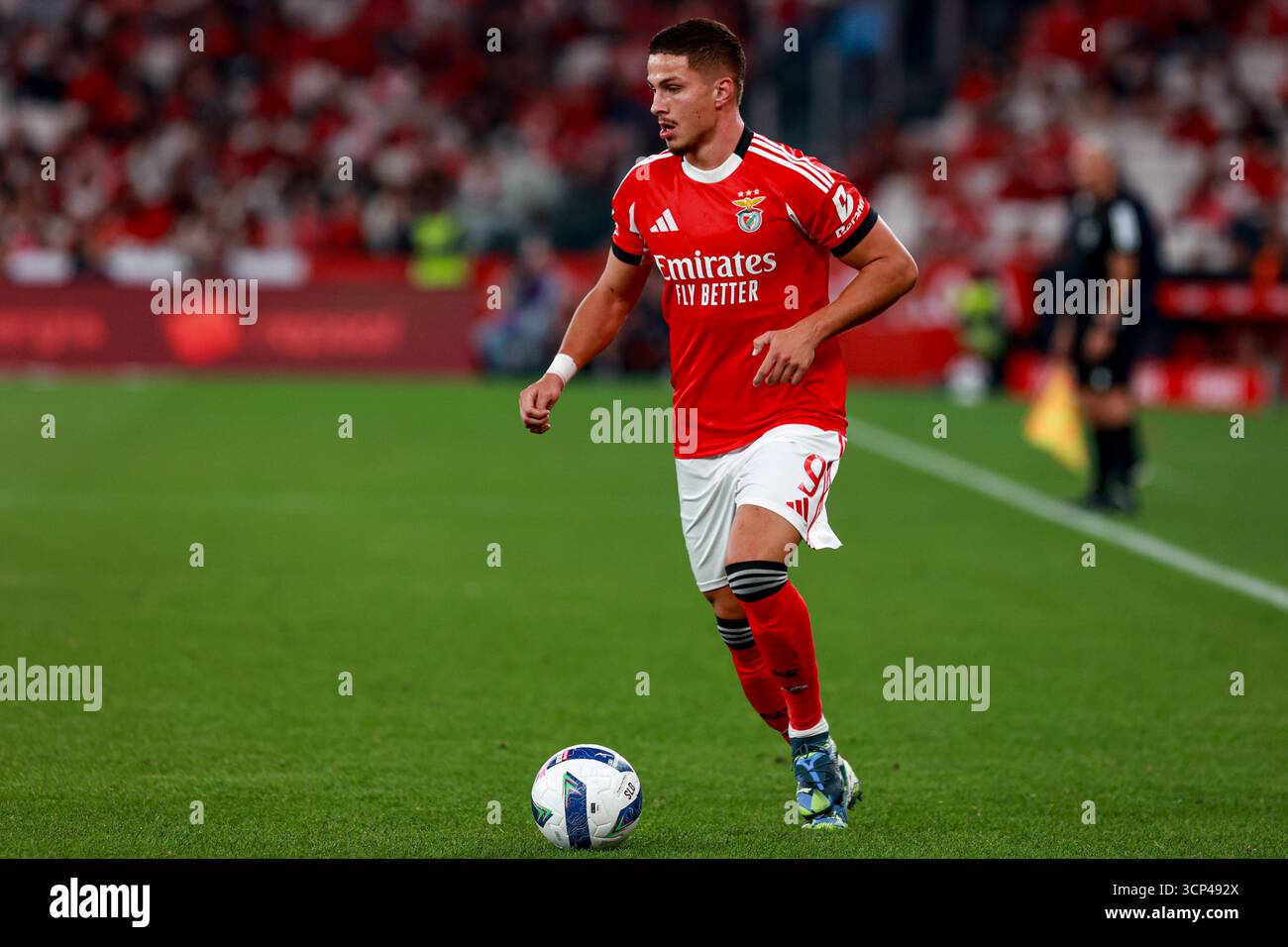 Est dio Da Luz Franjo Ivanovic Of SL Benfica In Action During The est-dio-da-luz-franjo-ivanovic-of-sl-benfica-in-action-during-the