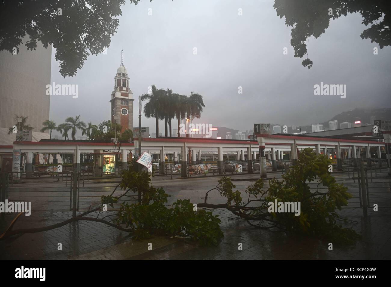 Signals Ragasa Hong Kong During Typhoon Ragasa The tree fallen down at Tsim Sha Tsui ...