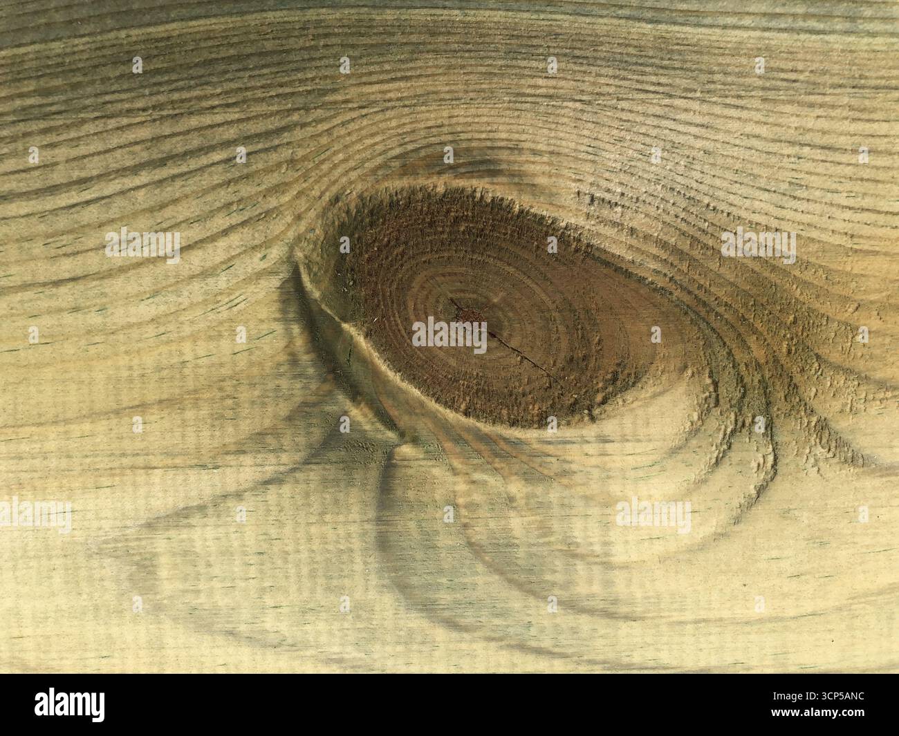 abstract wood texture resembling an eye Stock Photo
