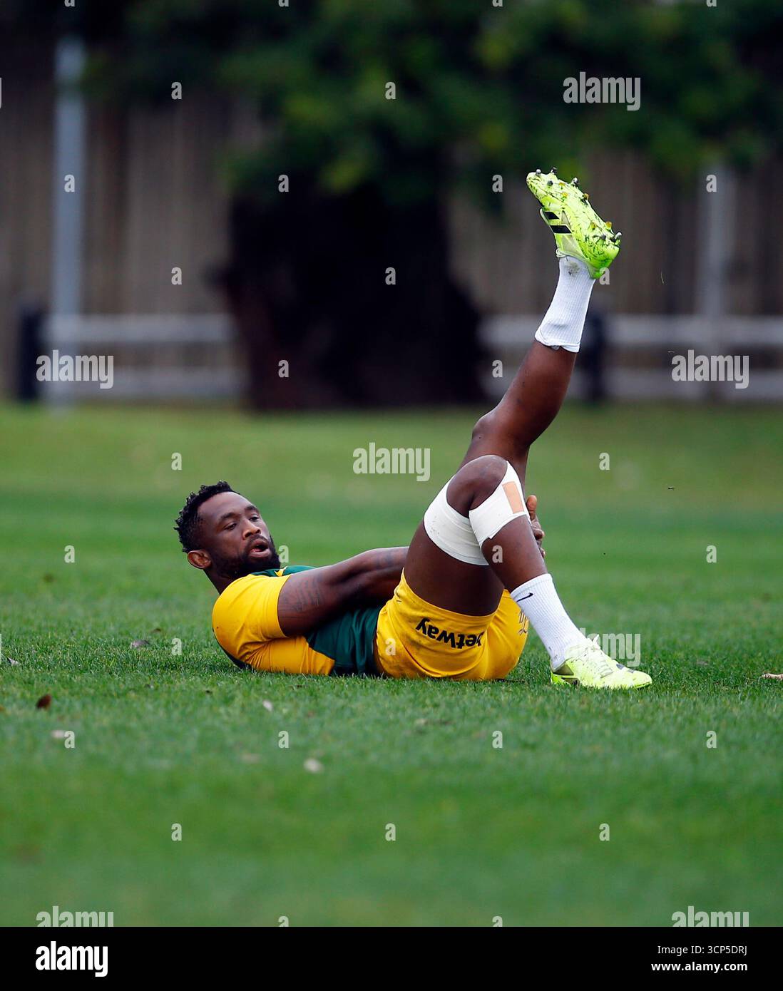 Siya Kolisi (c) of South Africa during The Rugby Championship South ...