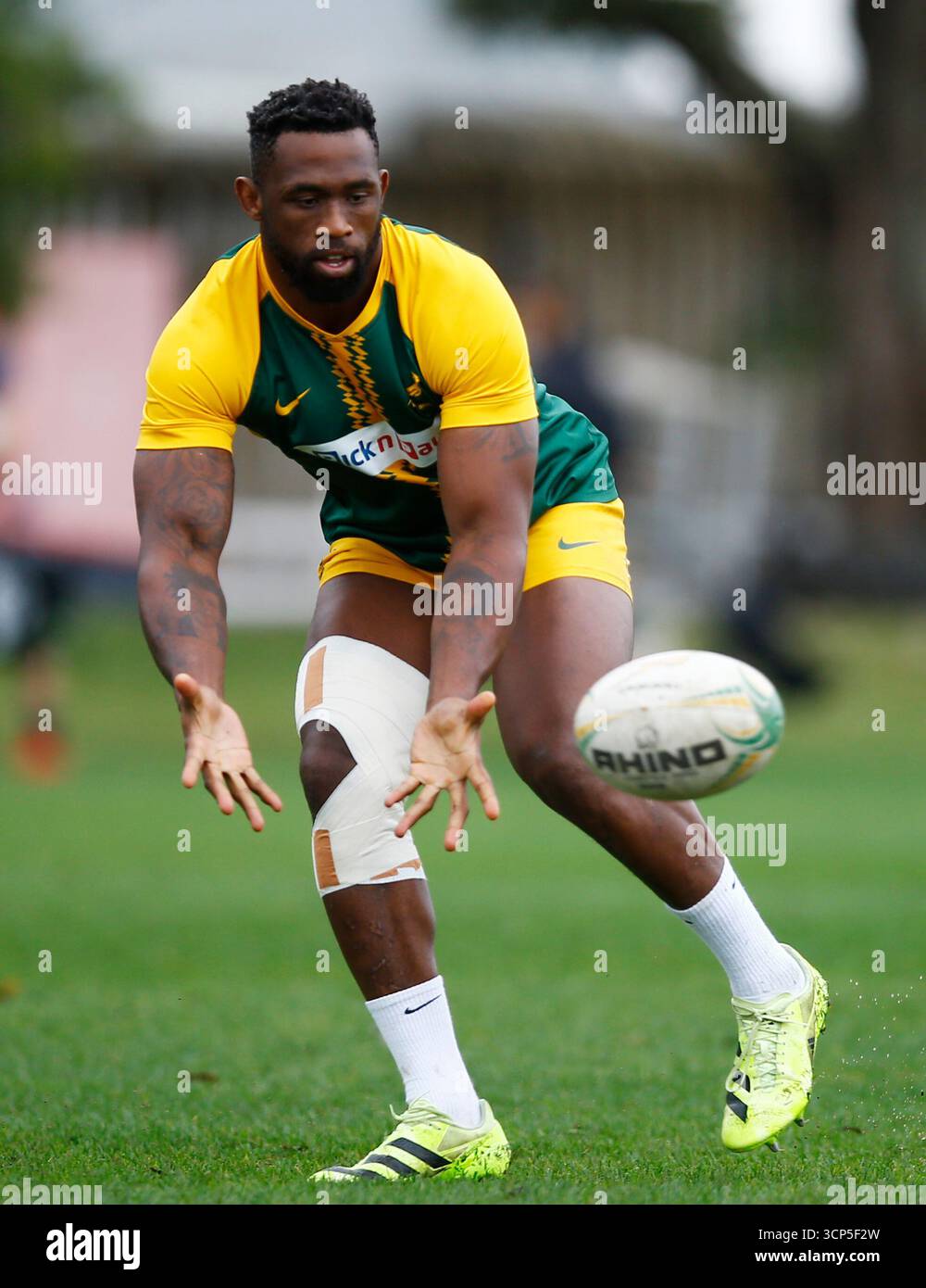 Siya Kolisi (c) of South Africa during The Rugby Championship South ...