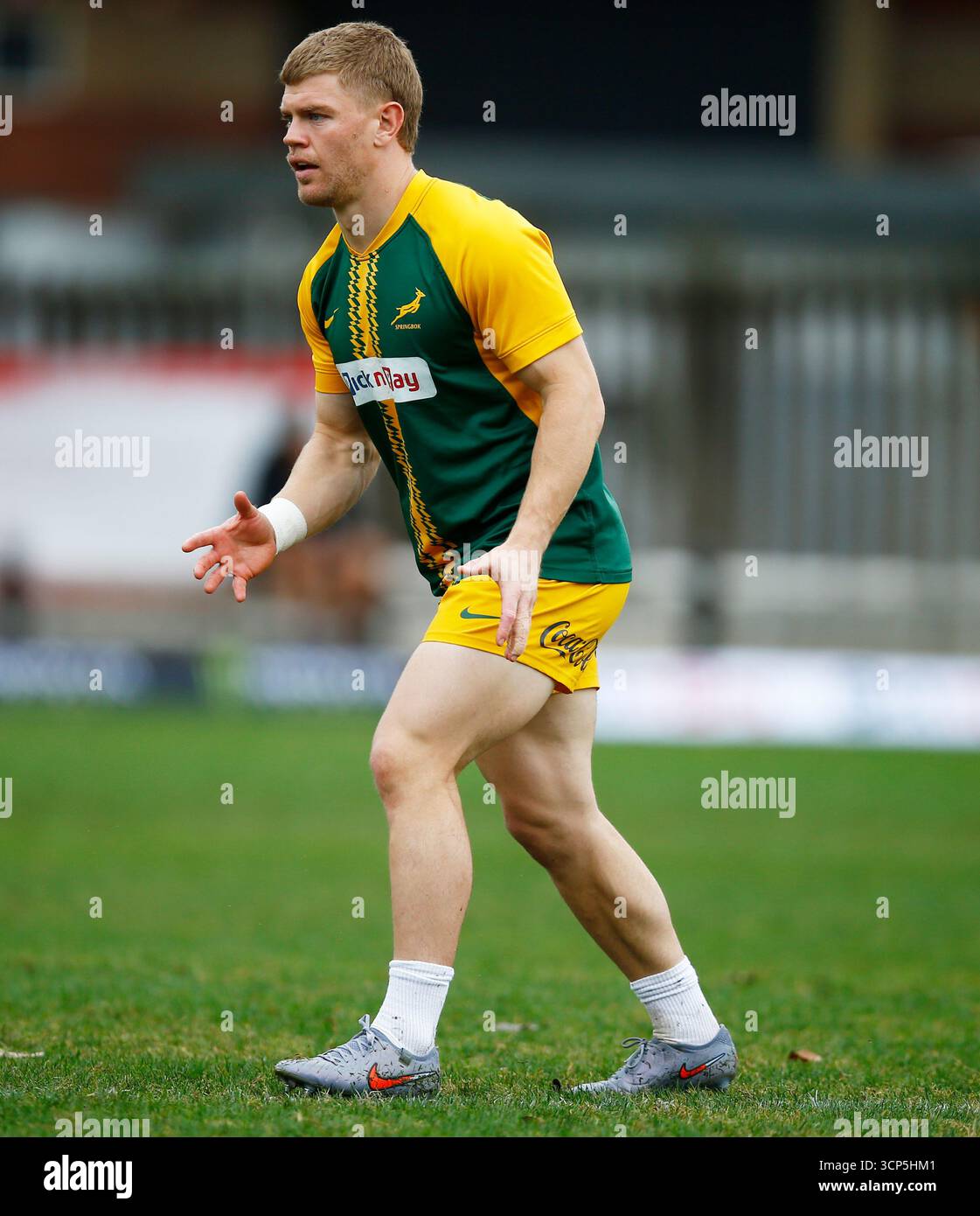 Morne Van Den Berg Of South Africa During The Rugby Championship South morne-van-den-berg-of-south-africa-during-the-rugby-championship-south