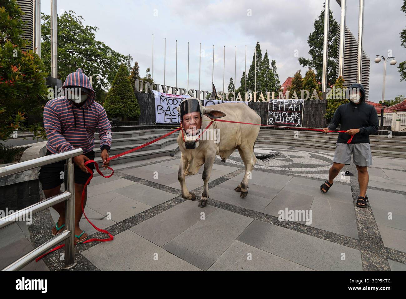 Cows Protest Sleman, Yogyakarta Special Region, INDONESIA. 24th Sep, 2025. Students ...
