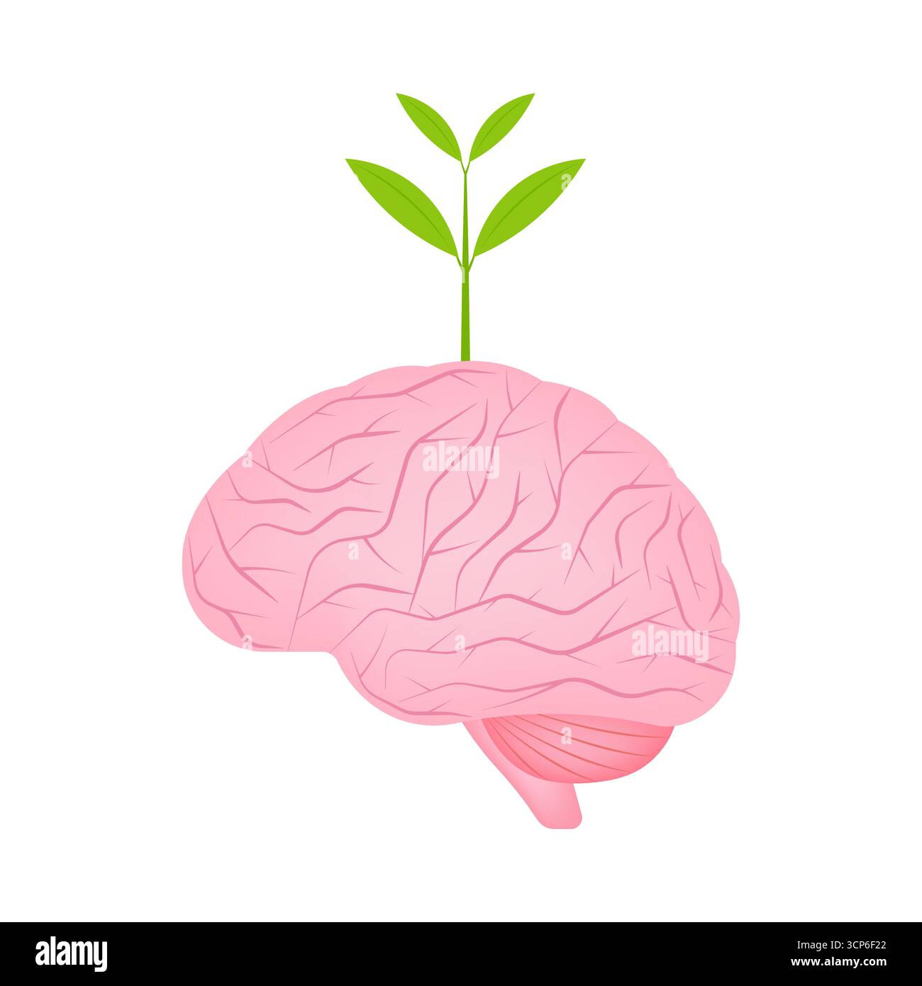 Watering Brain. Self Improvement or Growth Mindset  Concept. Vector Illustration. Stock Vector