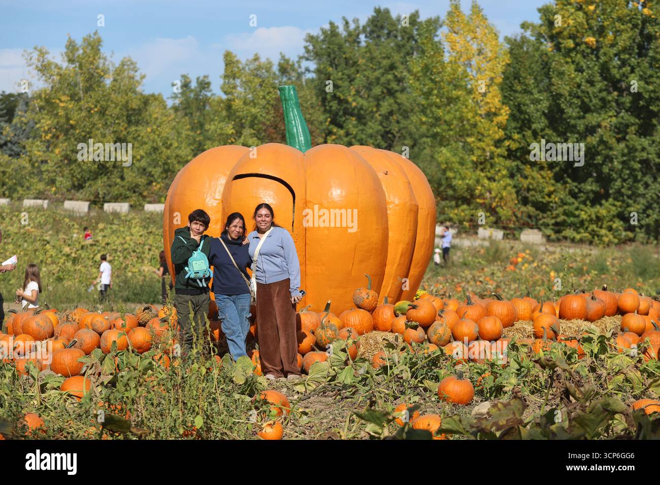 People attending a pumpkin patch on the eve of the start of the autumn ...
