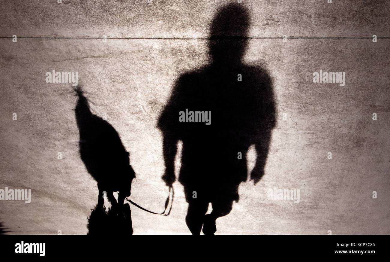 Shadow silhouette of a man walking a fluffy dog on a leash, in the summer sun Stock Photo
