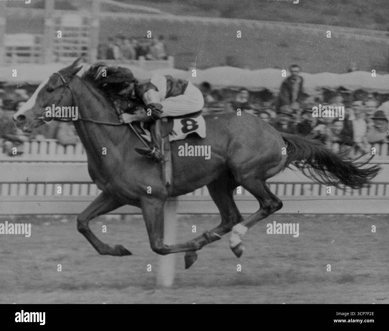 owned-by-messrs-a-g-silk-and-h-j-ascot-and-trained-by-d