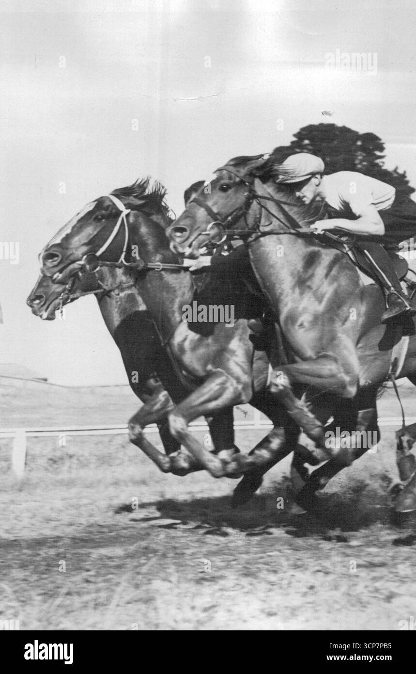 Racing general turf general hi-res stock photography and images - Alamy