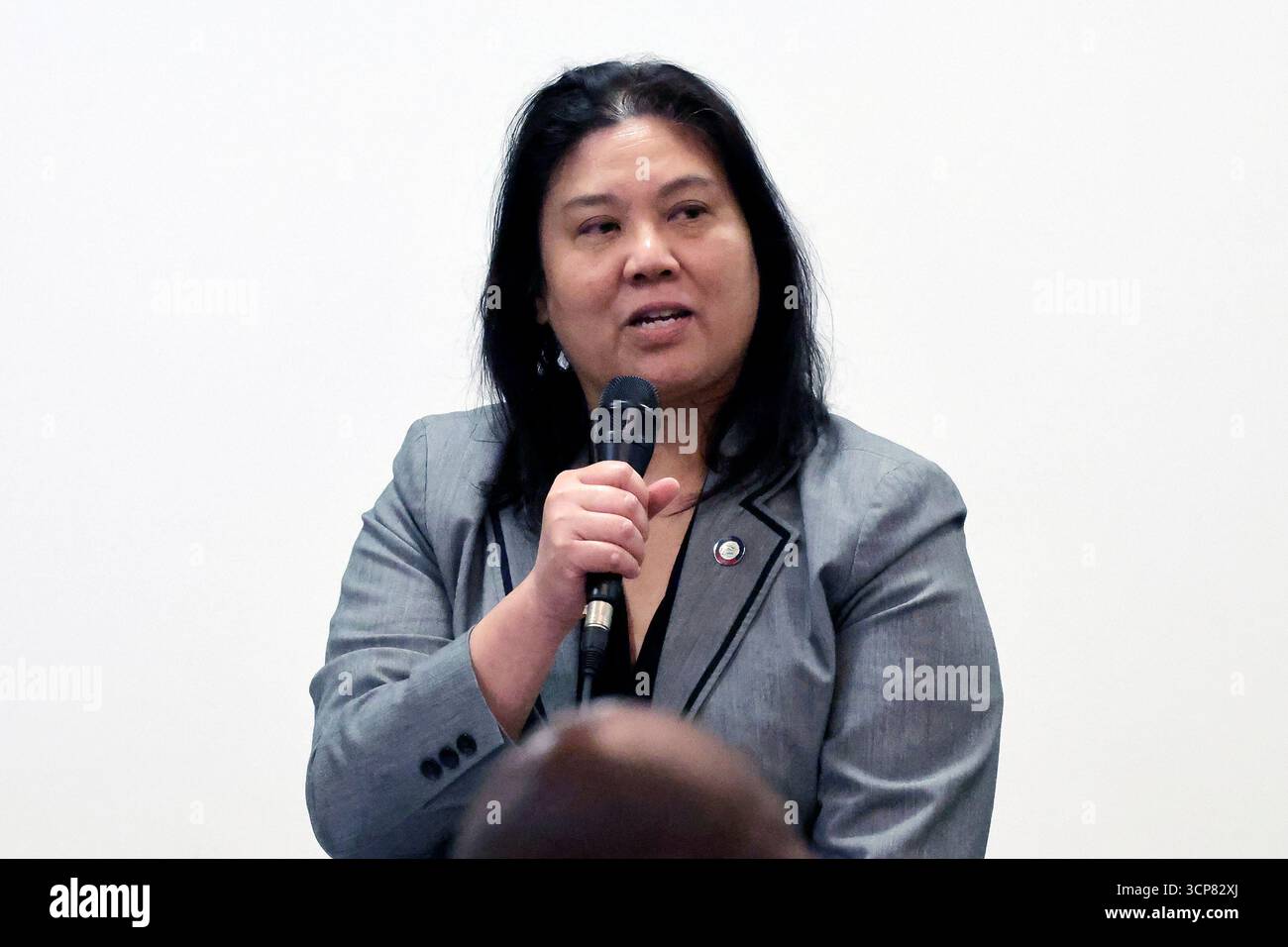 Rep. Maria Cervania, D-Wake, speaks during a North Carolina legislative ...