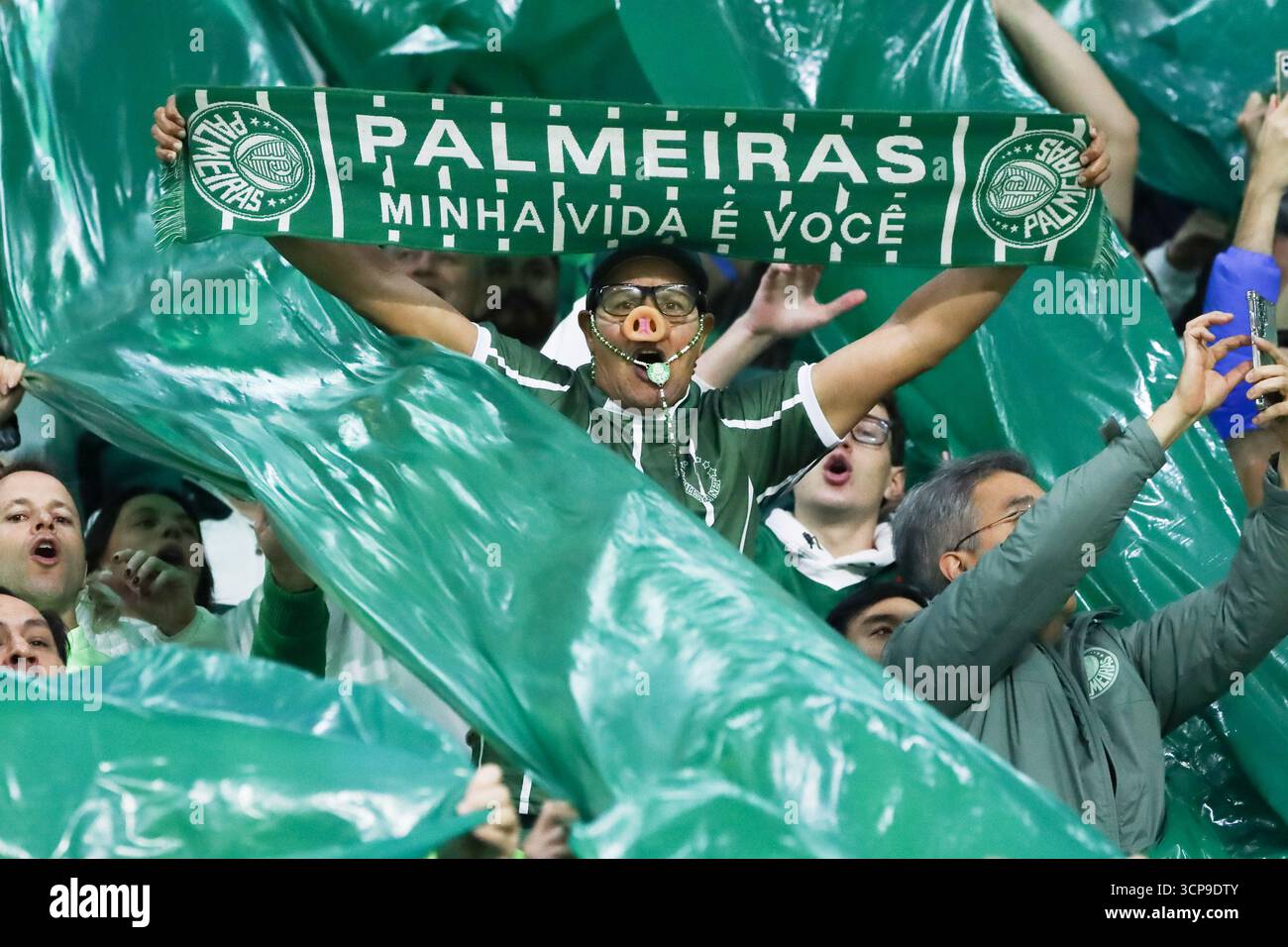 palmeiras-fans-allianz-parque-hi-res-stock-photography-and-images-alamy