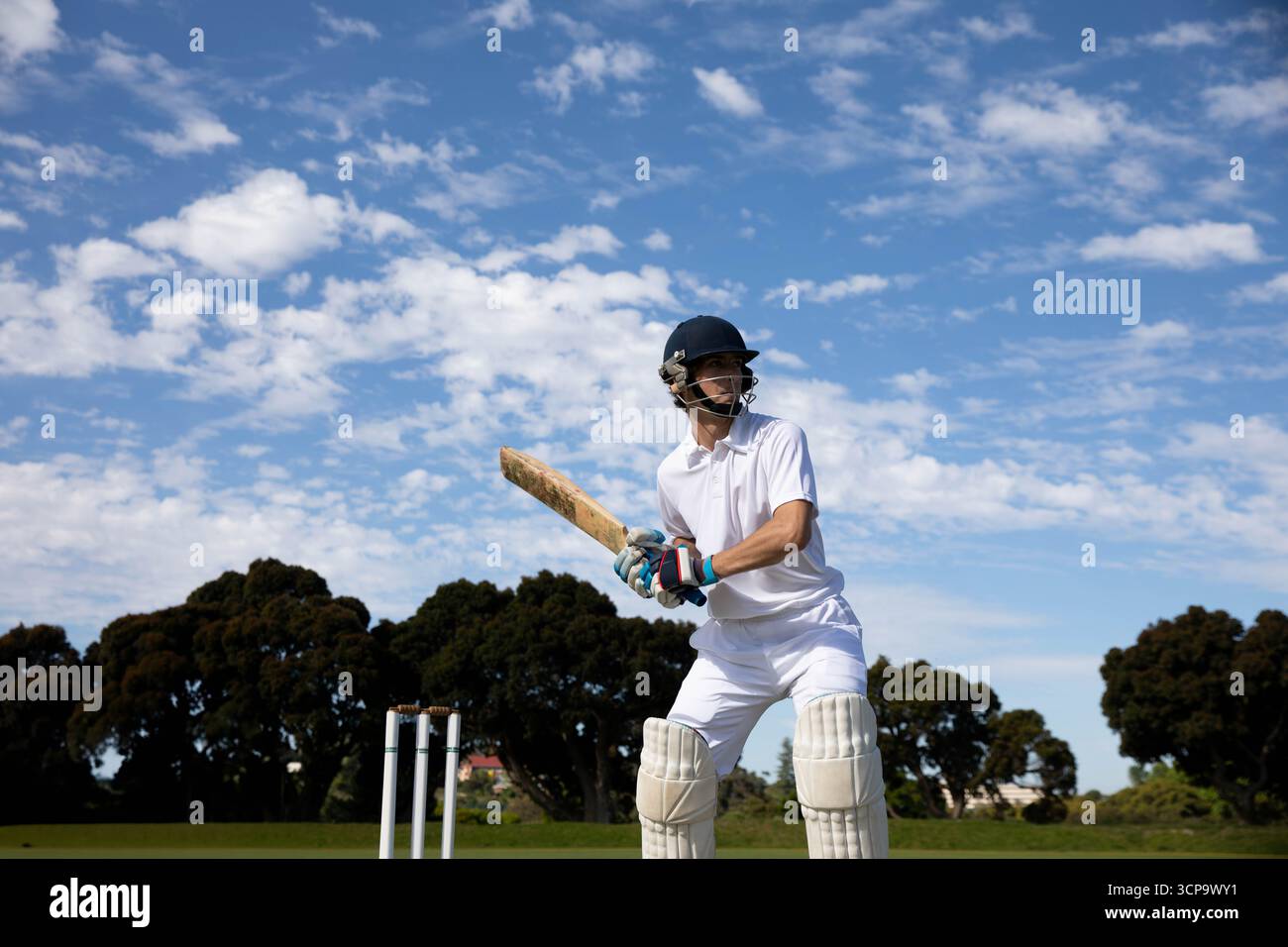 Cricket batsman holding bat helmet hi-res stock photography and images -  Alamy
