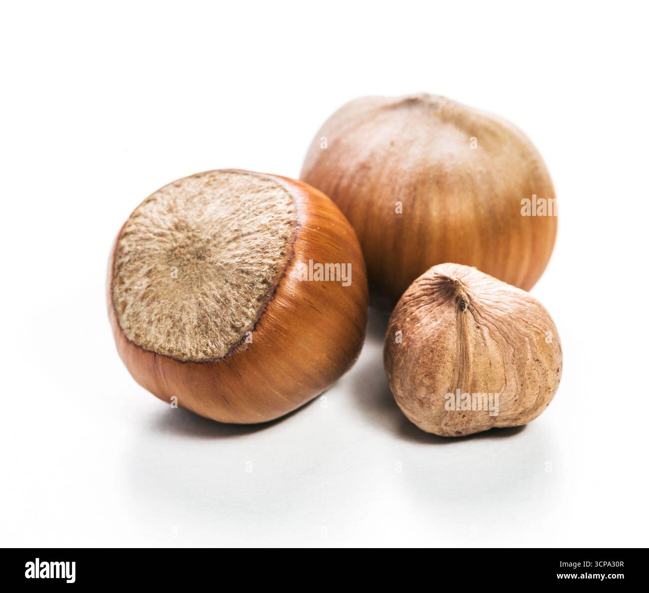 Fresh hazelnuts placed on a white surface ready for culinary use and snacking Stock Photo
