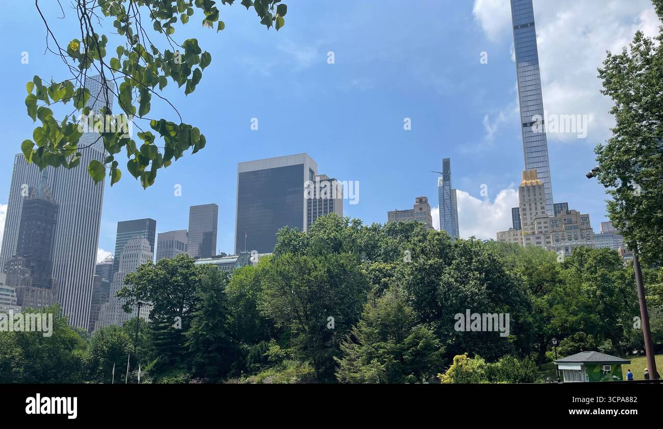 View of New York from Central Park - Smartphone Captured Stock Image