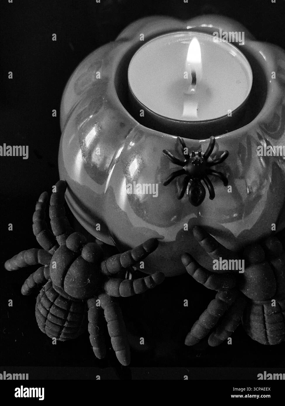 halloween pumpkin candle holder with spider. spooky pumpkin candlelight. halloween decor: pumpkin and spiders. jack-o-lantern with spiders - Smartphone Captured Stock Image