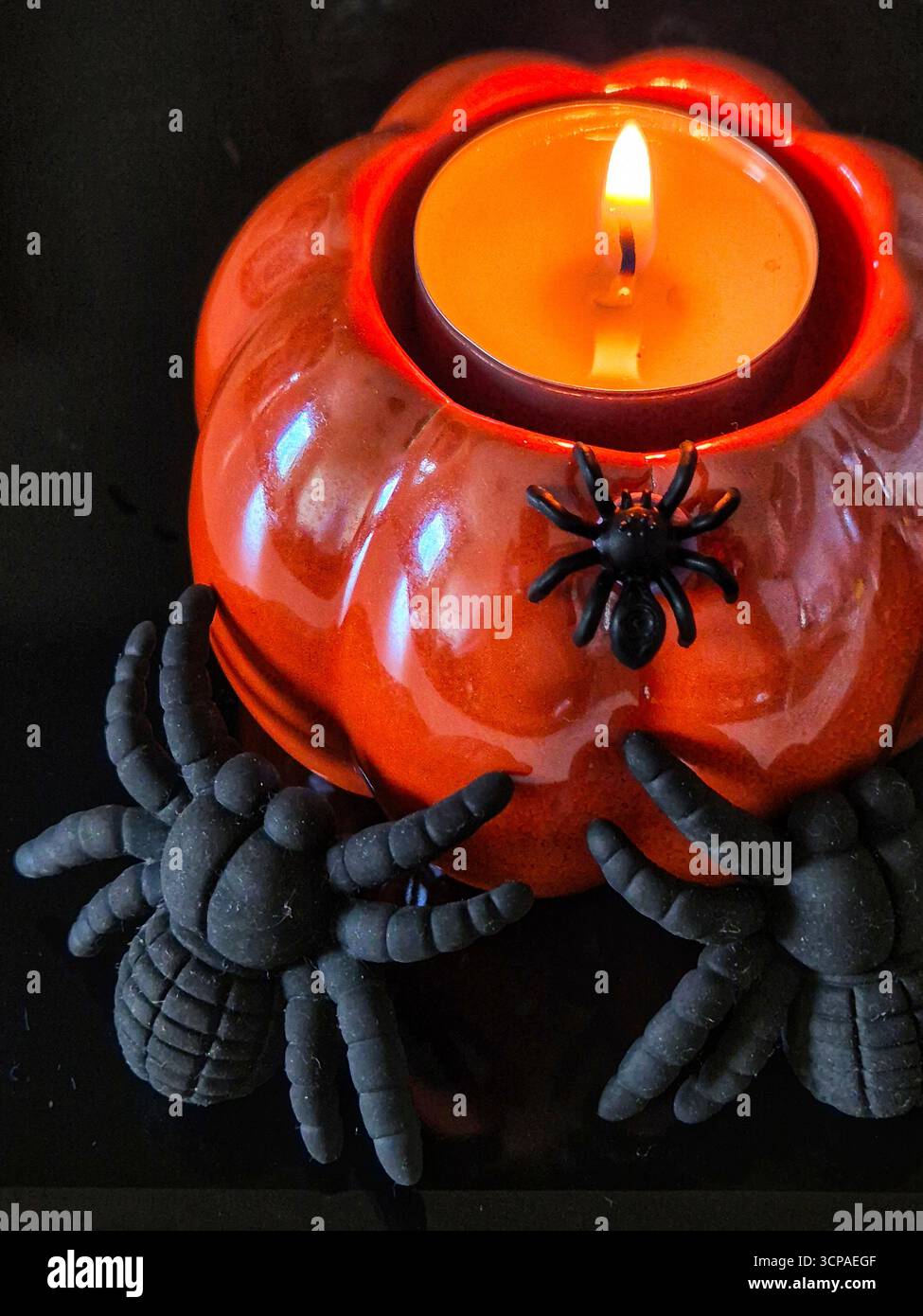 halloween pumpkin candle holder with spider. spooky pumpkin candlelight. halloween decor: pumpkin and spiders. jack-o-lantern with spiders - Smartphone Captured Stock Image