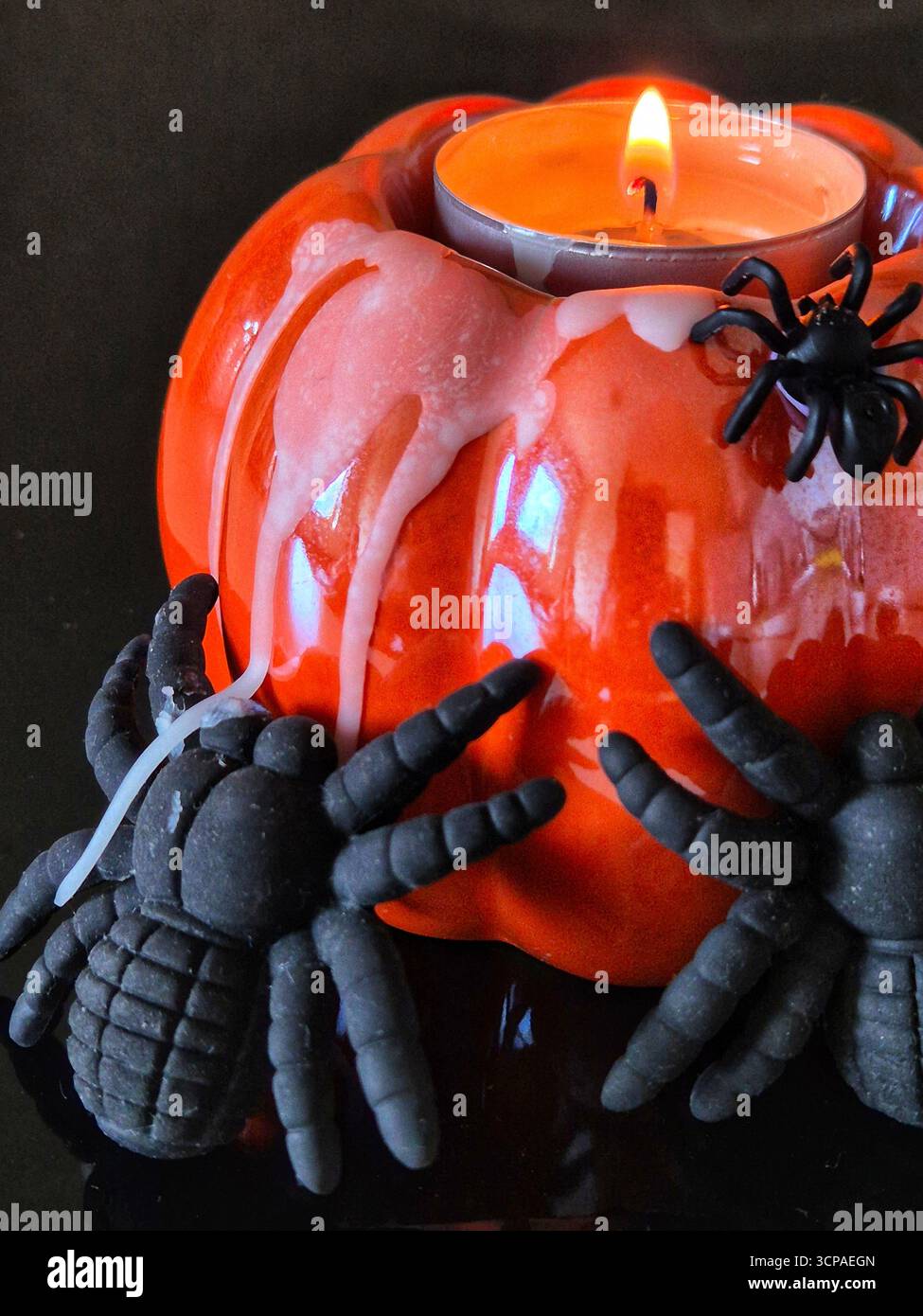 halloween pumpkin candle holder with spider. spooky pumpkin candlelight. halloween decor: pumpkin and spiders. jack-o-lantern with spiders - Smartphone Captured Stock Image