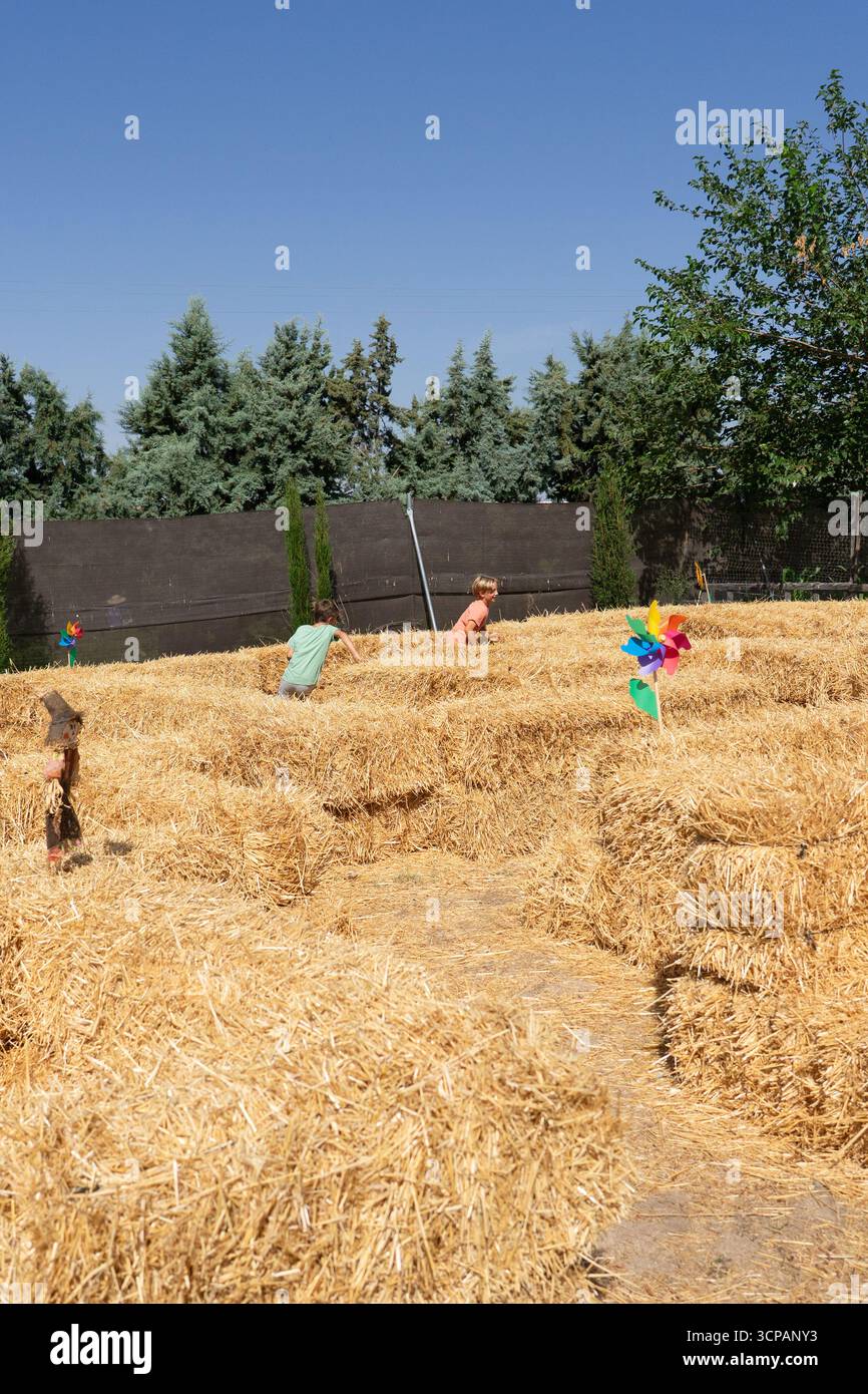 Young children navigating a large outdoor maze constructed from golden hay bales Stock Photo