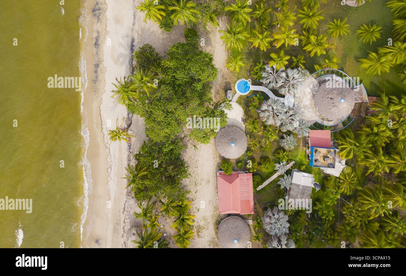 Aerial view of the beach meeting lush greenery, dotted with thatched ...