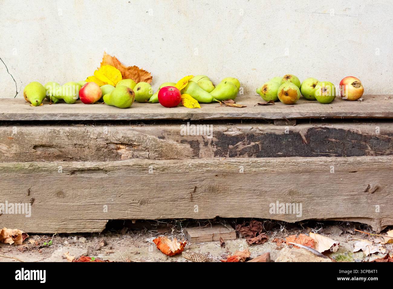 rural harvest in autumn. fruits on wooden background. fresh pears and ripe apples with yellow leaves laying on the board. rustic organic still life co Stock Photo