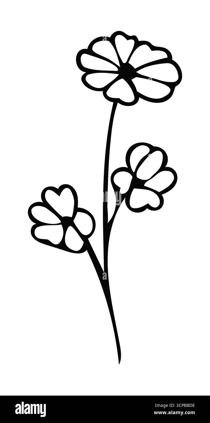 Simple black and white line drawing of three daisy-like flowers Stock Vector