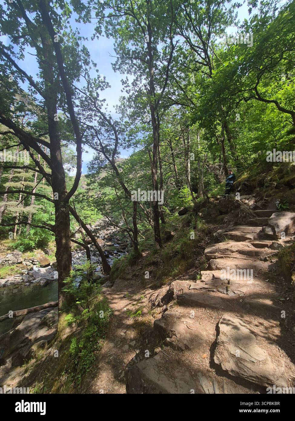 Rocky natural steps next to Welsh river - Smartphone Captured Stock Image