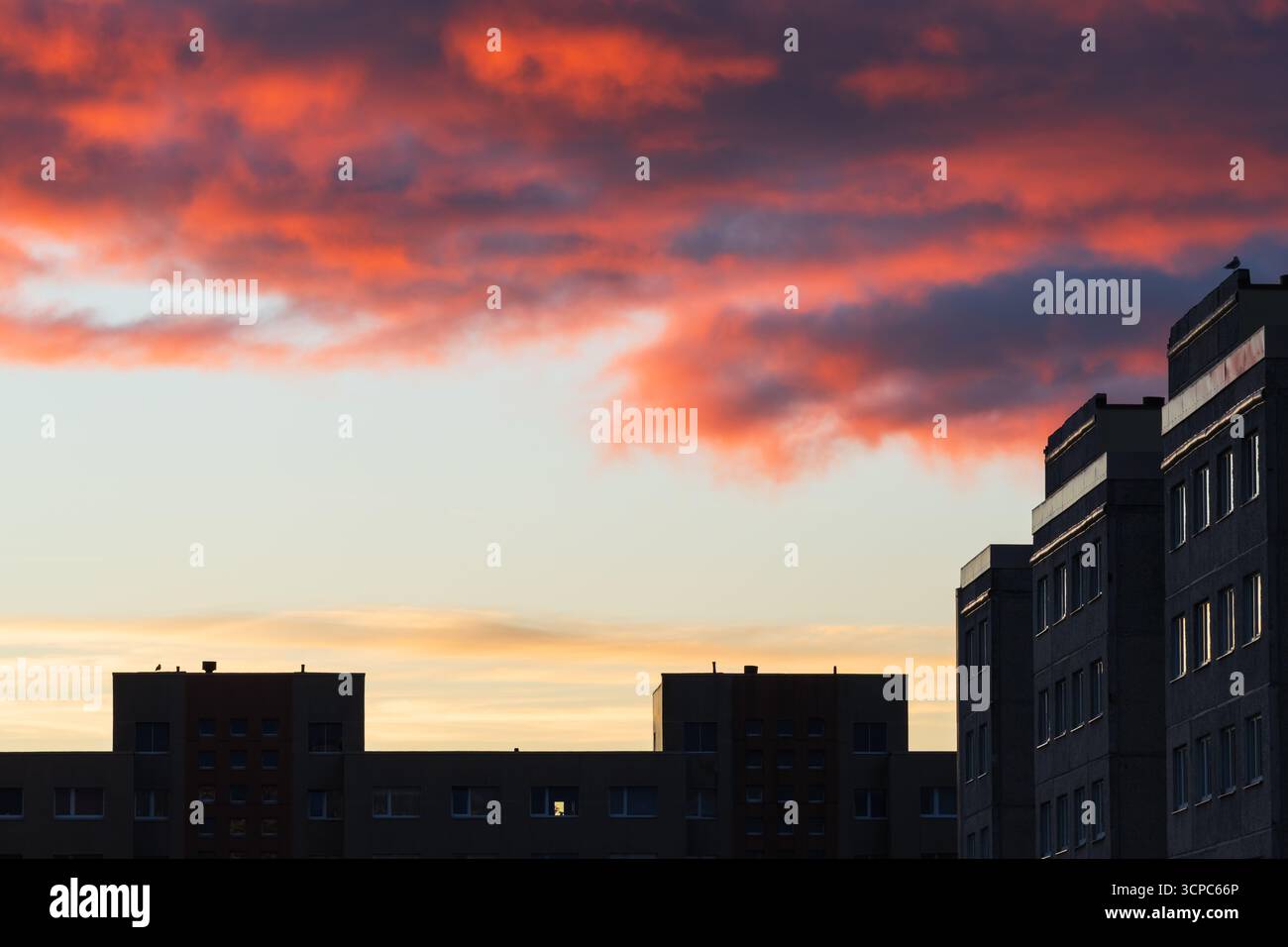 Lasname hi-res stock photography and images - Alamy