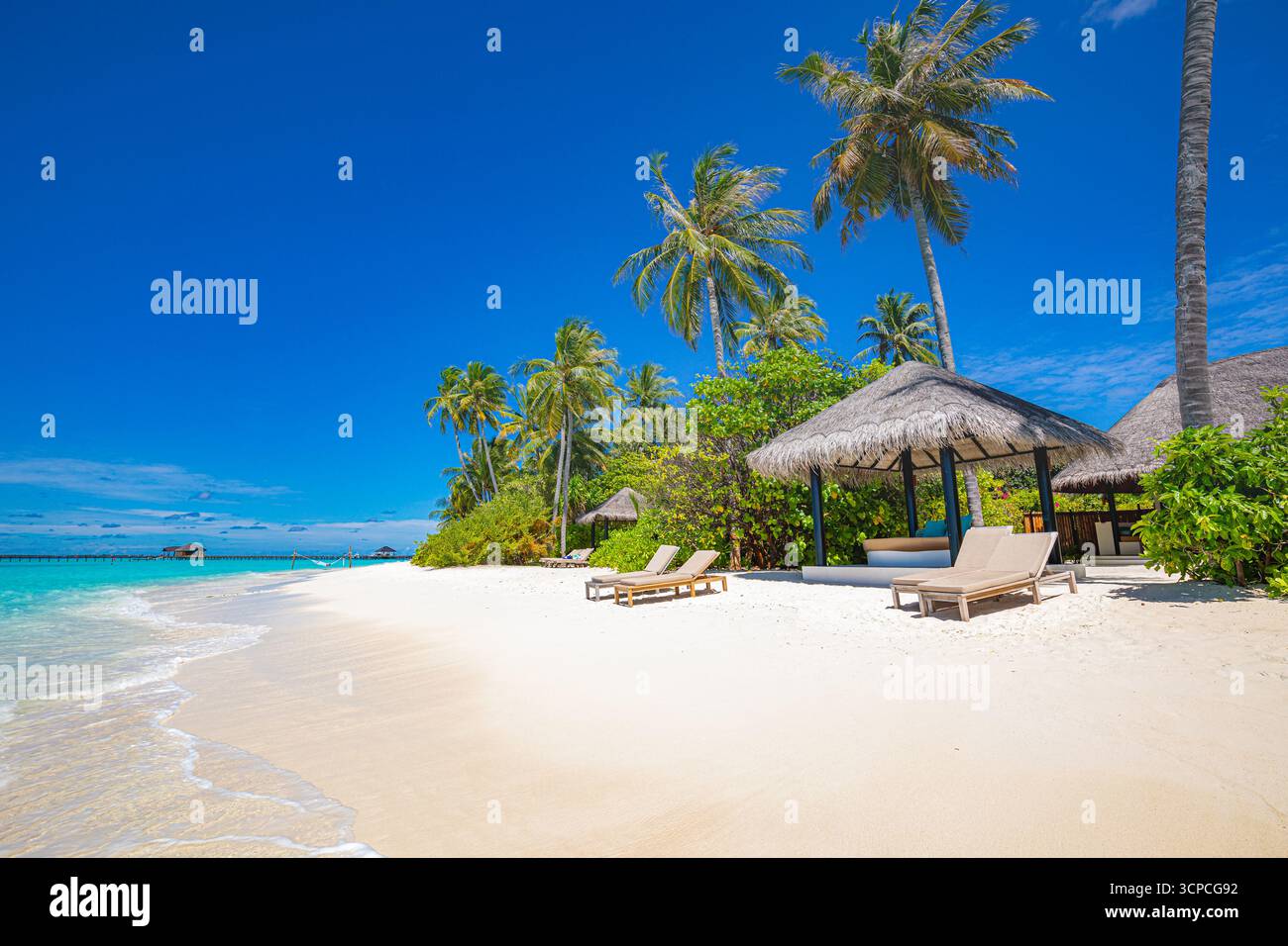 Beach blue sky sea palm trees sunny hi-res stock photography and images ...