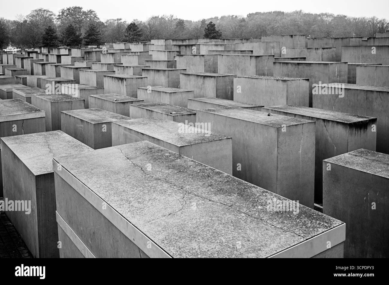 BERLIN, GERMANY - NOVEMBER 10, 2024: The trees of Tiergarten Park in Berlin stand behind the gray blocks of the Memorial to the Murdered Jews of Europ Stock Photo