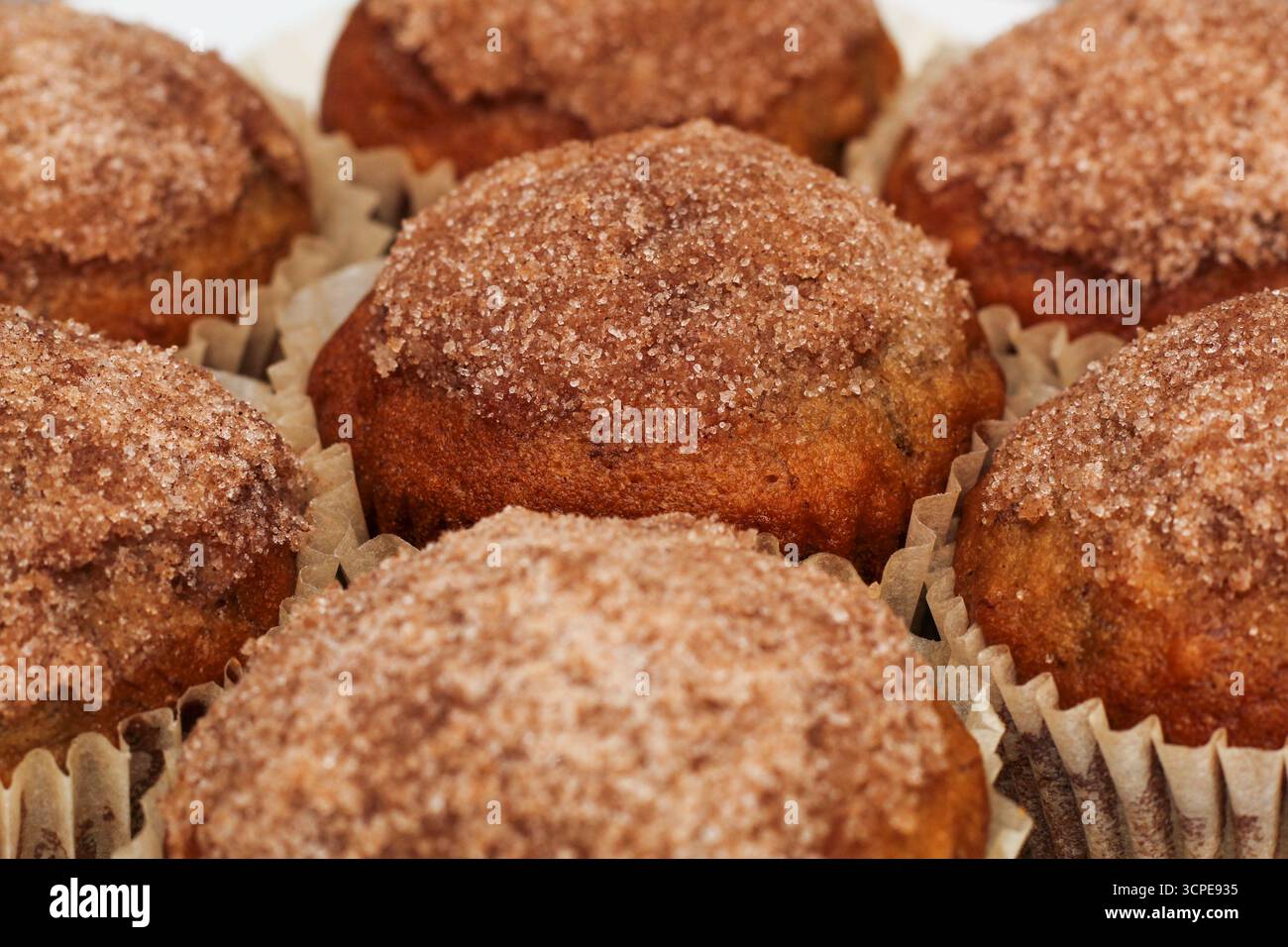 Closeup of Homemade Breakfast Muffins on Kitchen Countertop Stock Photo
