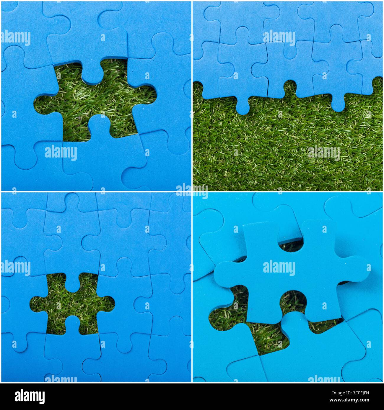 Blue puzzle pieces scattered on green grass with missing sections(00)