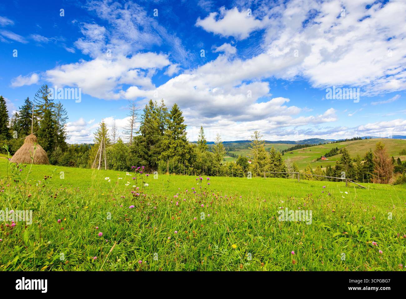 rural area of transcarpathia in autumn. scenic view. countryside scenery with rolling hills in afternoon light. carpathian mountain landscape of ukrai Stock Photo