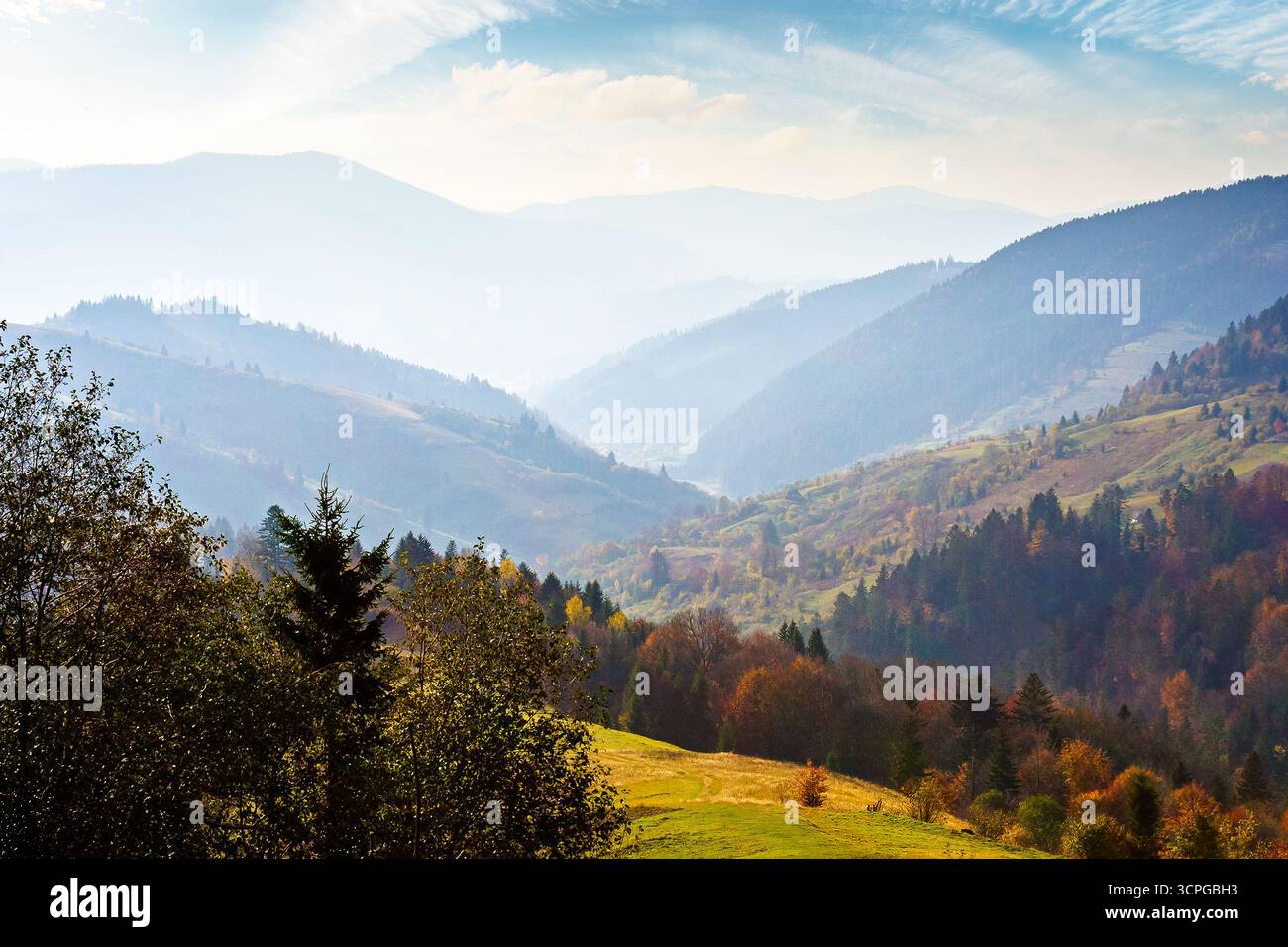 beautiful afternoon in carpathian mountains. scenic autumn weather. forest in colorful foliage. distant valley in haze Stock Photo