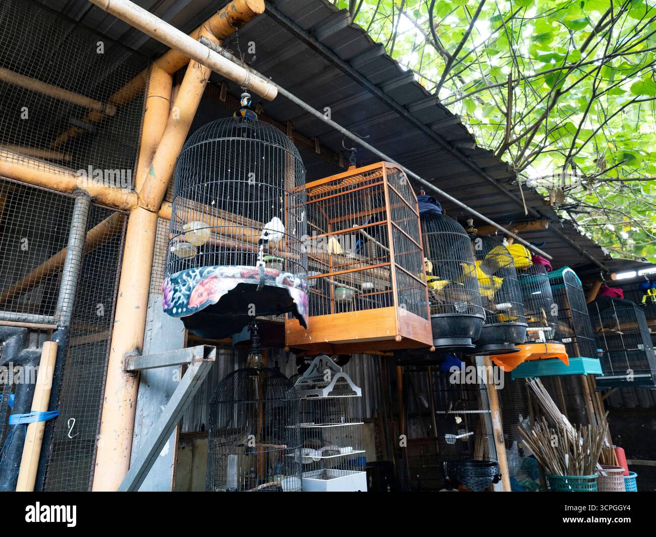 Bird Market, West Lombok, Indonesia Stock Photo
